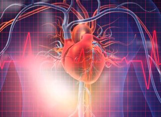 Japanese Scientists Discover That 5-ALA Supplementation Could Reverse Or Prevent Mitochondrial Dysfunction That Causes Chronic Heart Failure