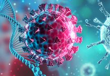 New recombinant variant SARS-CoV-2 XBB is the most most antibody-evasive strain