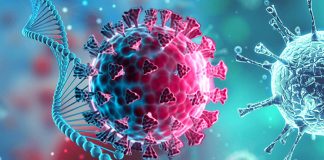 New recombinant variant SARS-CoV-2 XBB is the most most antibody-evasive strain