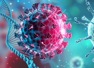 New recombinant variant SARS-CoV-2 XBB is the most most antibody-evasive strain