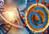 SARS-Cov-2 Causes Epigenetic Changes And Transcriptomic Reprogramming In Monocytes Of COVID-19 Patients