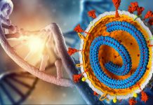 SARS-Cov-2 Causes Epigenetic Changes And Transcriptomic Reprogramming In Monocytes Of COVID-19 Patients
