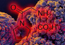 Plasma metabolites such as glycylproline (gly-pro) and long-chain acylcarnitines could be associated with antibody fading in COVID-19 convalescent patients