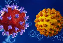 HIV Patients With Moderately Low CD4 Cell Counts Risk Severe Breakthrough COVID-19 Infection