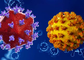 HIV Patients With Moderately Low CD4 Cell Counts Risk Severe Breakthrough COVID-19 Infection