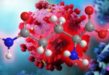 L’integrazione di glutammina e piruvato può ridurre e prevenire l’iperinfiammazione da COVID-19