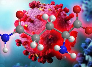 L’integrazione di glutammina e piruvato può ridurre e prevenire l’iperinfiammazione da COVID-19