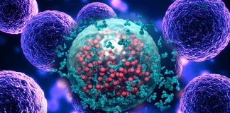 The role of senescent cells in anti-aging medicine