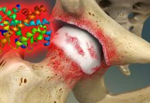 The nuclear receptor RORβ could present a novel therapeutic target to protect cartilage damage and perhaps turn on cartilage regeneration
