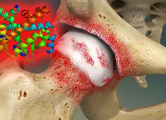 The nuclear receptor RORβ could present a novel therapeutic target to protect cartilage damage and perhaps turn on cartilage regeneration