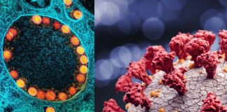 SARS-CoV-2 coronavirus is different from all other Betacoronaviruses in partially activating the IRE1α/XBP1 endoplasmic reticulum stress pathway