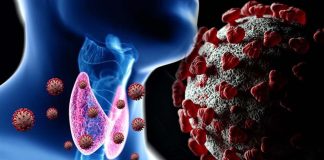 SARS-CoV-2 Causes Transcriptional Alterations Of Endocrine-Specific Genes Leading To A Variety Of Endocrine Issue