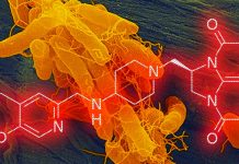 Gepotidacin: the new antibiotic to treat Treat Drug Resistance Urinary Tract Infections (UTIs)