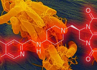 Gepotidacin: the new antibiotic to treat Treat Drug Resistance Urinary Tract Infections (UTIs)
