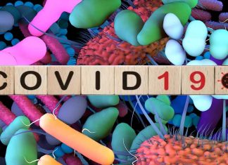 Gut Microbiome Composition And Function Play A Role In COVID-19 Progression