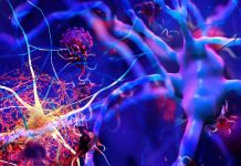 SARS-CoV-2 Spike Proteins Induces NLRP3 Inflammasome Activation In Human Microglia