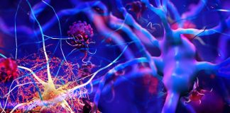 SARS-CoV-2 Spike Proteins Induces NLRP3 Inflammasome Activation In Human Microglia