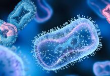 Mutations in Monkeypox escape drugs and vaccines