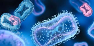 Mutations in Monkeypox escape drugs and vaccines