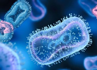 Mutations in Monkeypox escape drugs and vaccines