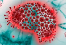 NeuroCOVID manifestations in post infections are determined by immunologic imprinting from previous Coronaviruses
