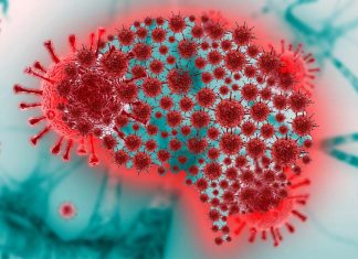 NeuroCOVID manifestations in post infections are determined by immunologic imprinting from previous Coronaviruses