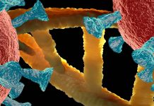 SARS-CoV-2 Alters RNA Of Infected Host Cells