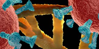 SARS-CoV-2 Alters RNA Of Infected Host Cells