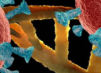 SARS-CoV-2 Alters RNA Of Infected Host Cells
