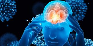 SARS-CoV-2 Causes Neuroinflammation
