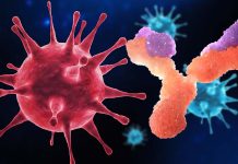 New Emerging SARS-CoV-2 Variants Such As BQ1.1.10 – XBB – BA.4.6.3 – CH.1.1 are the most antibody-evasive strain tested