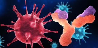 New Emerging SARS-CoV-2 Variants Such As BQ1.1.10 – XBB – BA.4.6.3 – CH.1.1 are the most antibody-evasive strain tested