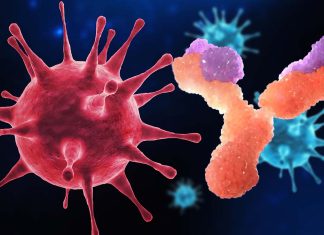 New Emerging SARS-CoV-2 Variants Such As BQ1.1.10 – XBB – BA.4.6.3 – CH.1.1 are the most antibody-evasive strain tested