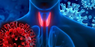 SARS-CoV-2 induce disfunzione tiroidea