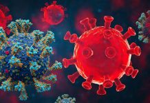 Austria: New Worrisome SARS-CoV-2 Omicron Sub-lineage CH.1.1 with the P681R mutation