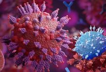 The new aminoadamantane nitrates can inhibit SARS-CoV-2 infection