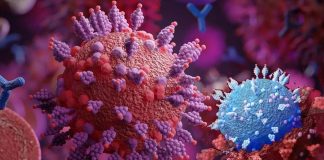 The new aminoadamantane nitrates can inhibit SARS-CoV-2 infection