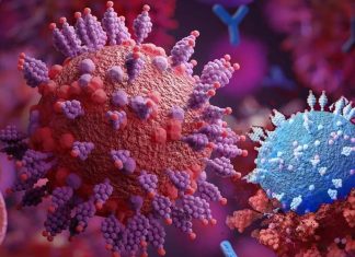 The new aminoadamantane nitrates can inhibit SARS-CoV-2 infection