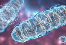 Unmetabolized ATP Contributes To COVID-19 Severity