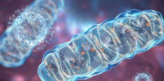 Unmetabolized ATP Contributes To COVID-19 Severity