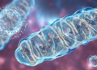 Unmetabolized ATP Contributes To COVID-19 Severity