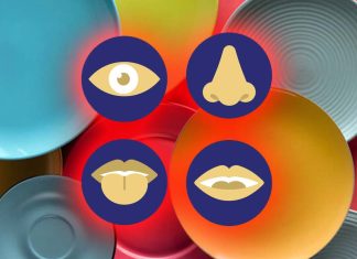 Il colore del piatto su cui viene servito il cibo influenza la percezione del gusto