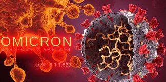 BW.1 is the new more transmissible and immune evasive SARS-CoV-2 variant