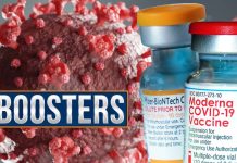 COVID-19: I lavoratori che ricevono i nuovi vaccini bivalenti sperimentano più effetti avversi rispetto al booster monovalente