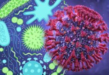 SARS-CoV-2 infection induces gut microbiome dysbiosis