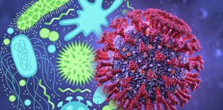 SARS-CoV-2 infection induces gut microbiome dysbiosis