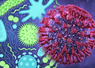 SARS-CoV-2 infection induces gut microbiome dysbiosis