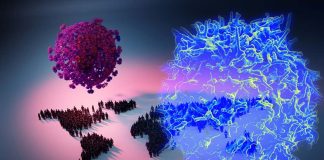The TYK2 gene associated with lupus provides protection against SARS-CoV-2 infection