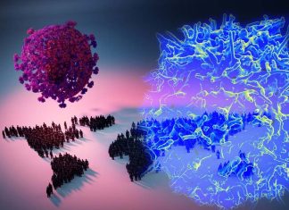 The TYK2 gene associated with lupus provides protection against SARS-CoV-2 infection