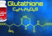 Higher levels of glutathione in the nucleus accumbens correlated with better and more steady performance in motivation-based tasks